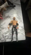 WWE SAMI Zayn Elite